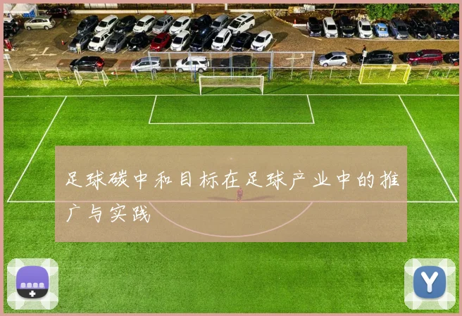 足球碳中和目标在足球产业中的推广与实践