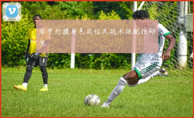 法甲外援角色定位及战术适配性研究
