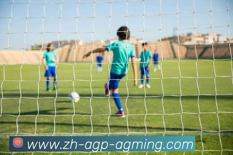 AG娱乐登录APP 高清赛事图