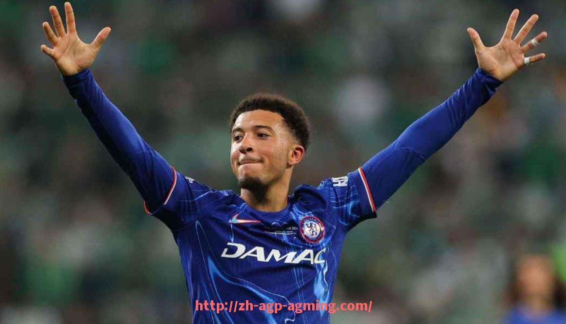 AG娱乐登录-2008年英超威甘球队球员名单及赛季表现 AG娱乐登录-2008年英超威甘球队球员名单及赛季表现